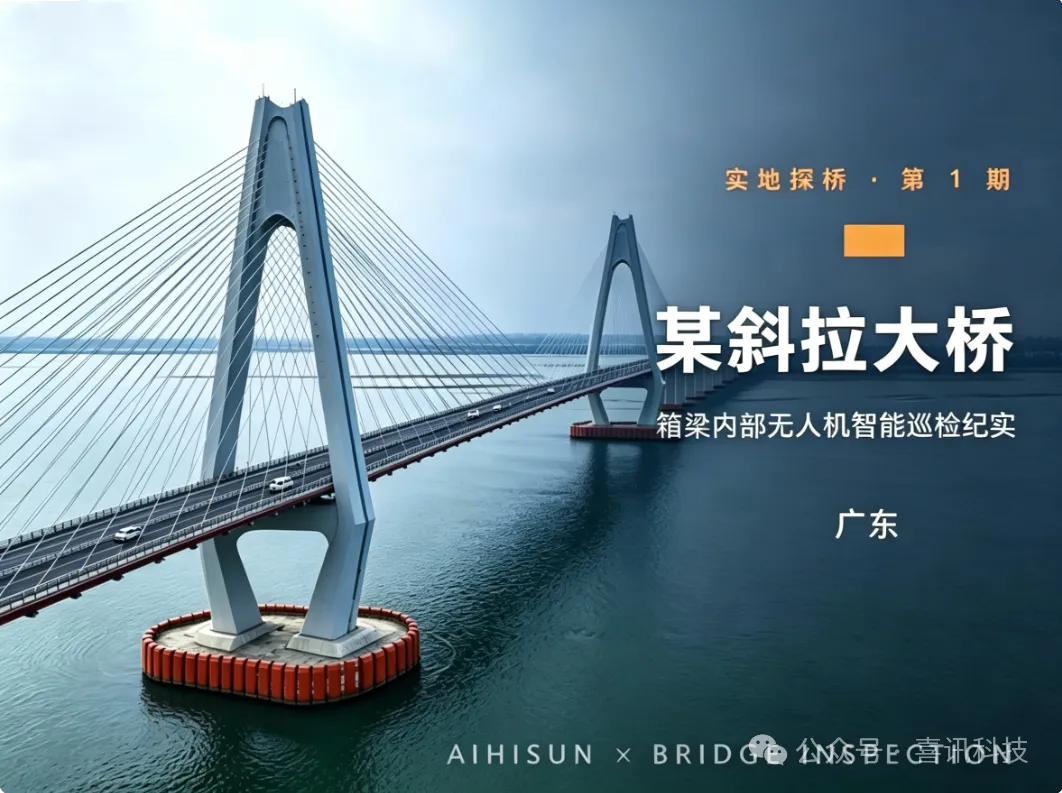 实地探桥·某斜拉大桥无人机巡检全记录